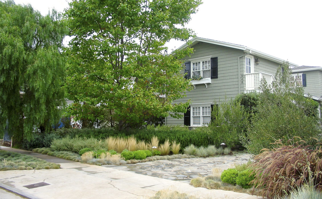 Chautauqua Landscape-Pacific Palisades CA 1